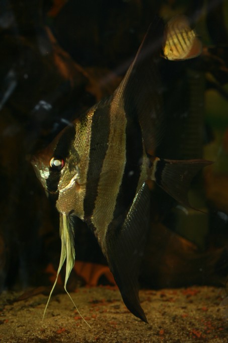 img_5764_2.jpg