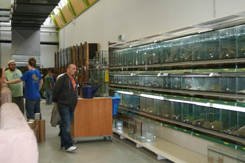 img_5843_2.jpg