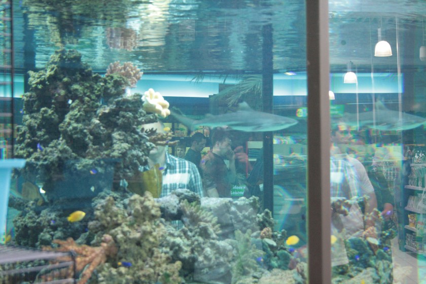 img_5861_2.jpg